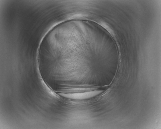 X0000071921392200607212057