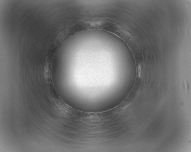 X0000071921395200607212056