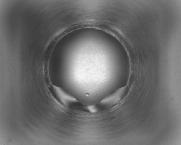 X0000071921402200607212056