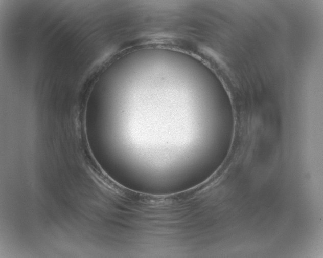 X0000071921403200607212056