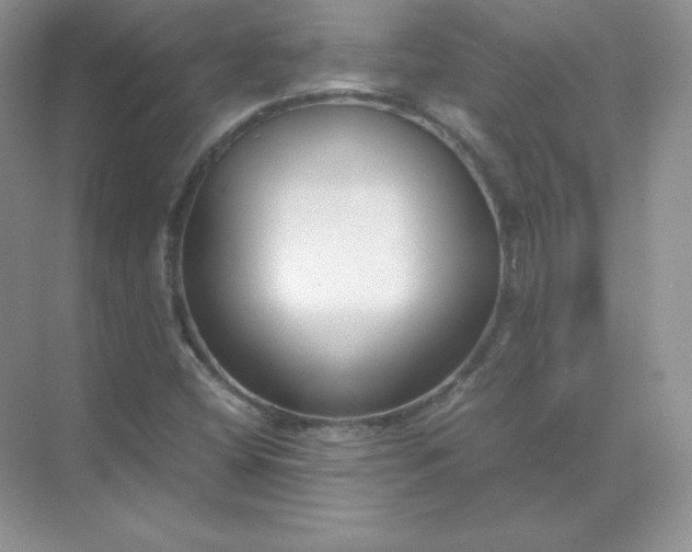 X0000071921404200607212056