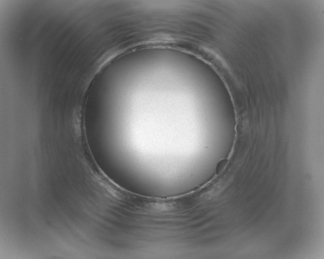 X0000071921409200607212056