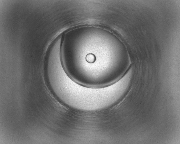 X0000071921410200607212056