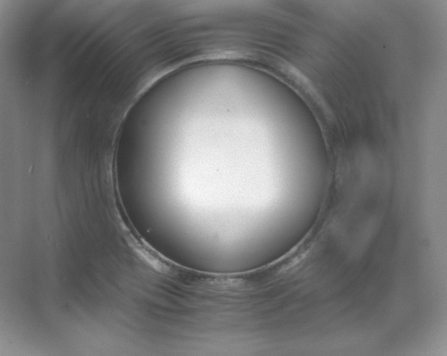 X0000071921417200607212056