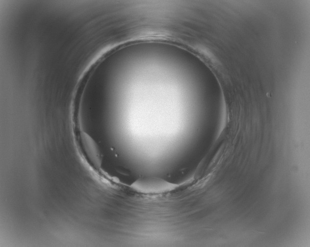 X0000071921422200607212056