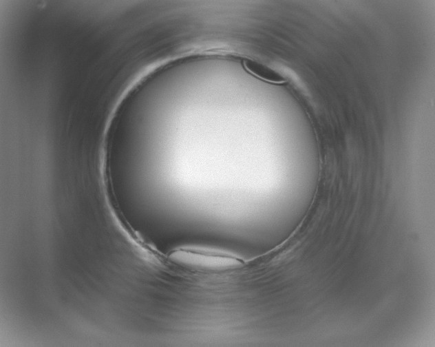 X0000071921424200607212056