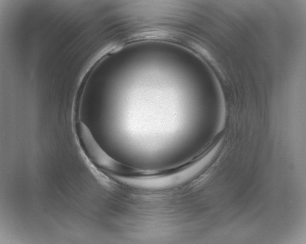 X0000071921426200607212056