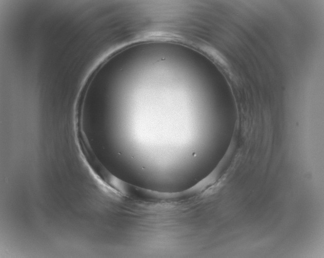 X0000071921430200607212056