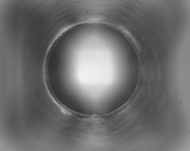 X0000071921432200607212056