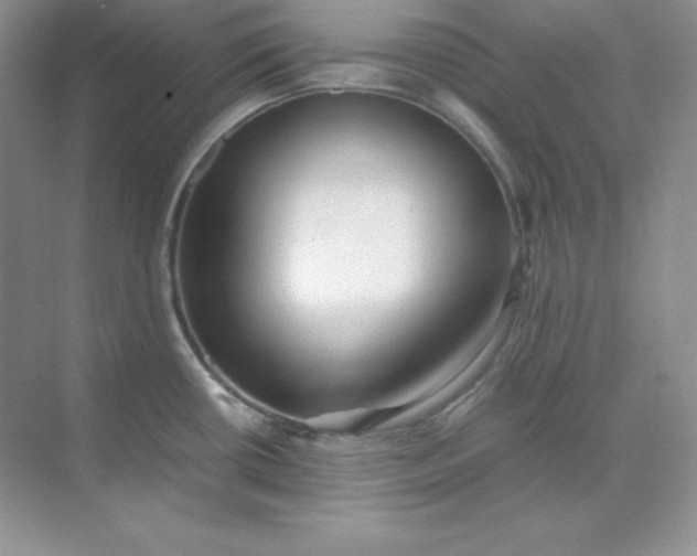 X0000071921434200607212056