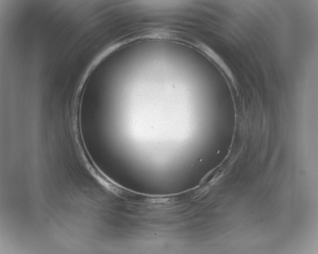 X0000071921437200607212057