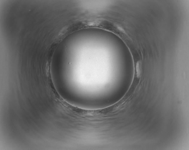 X0000071921443200607212056