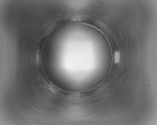 X0000071921444200607212056