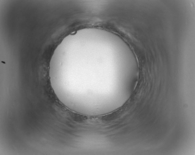 X0000071921447200607212056