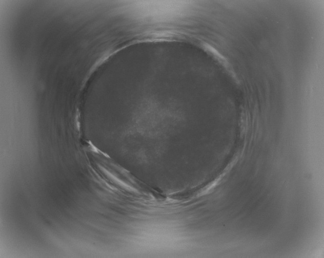 X0000071921449200607212056
