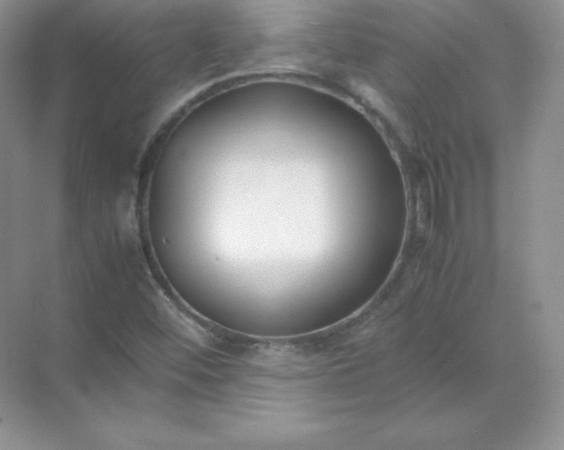 X0000071921452200607212056