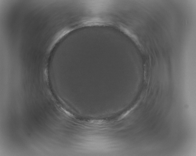 X0000071921453200607212056