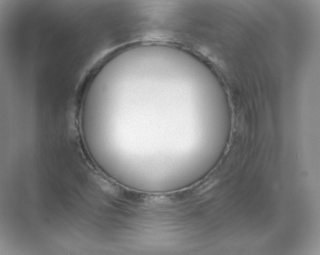 X0000071921454200607212056