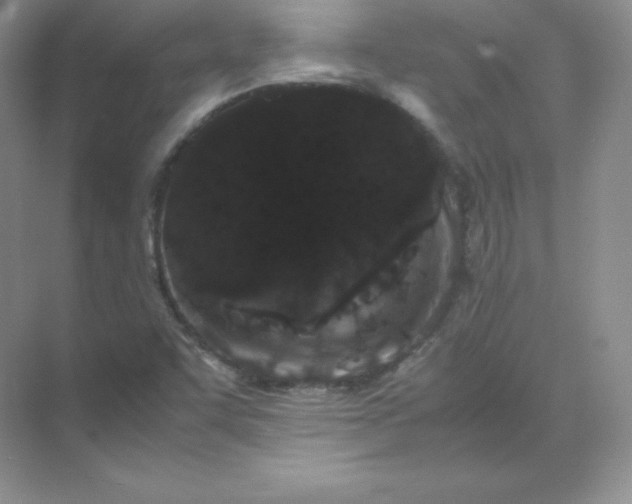 X0000071921455200607212056