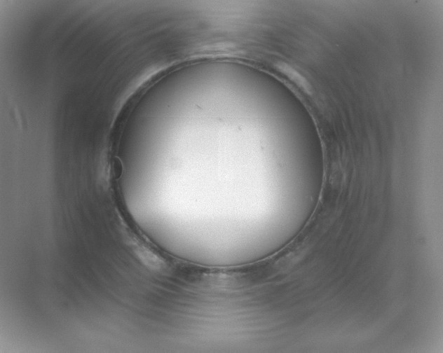 X0000071921458200607212055