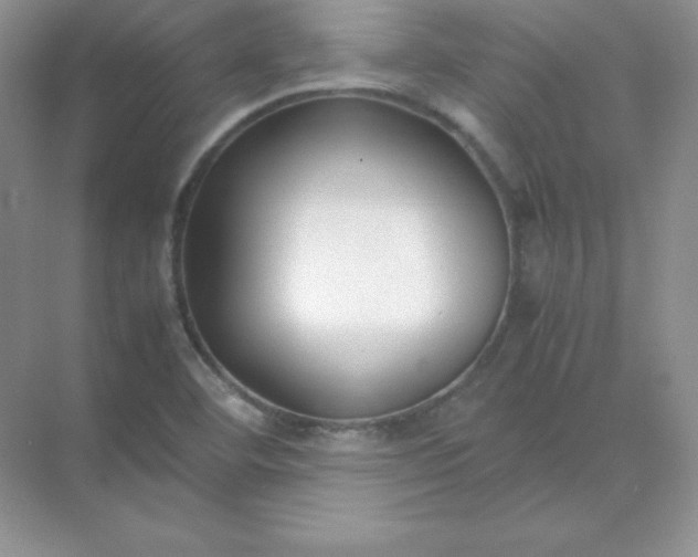 X0000071921460200607212055