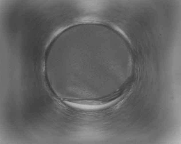 X0000071921461200607212055