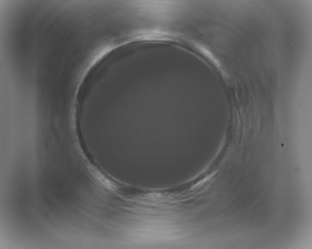 X0000071921463200607212055