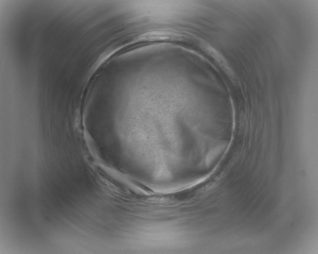X0000071921465200607212055