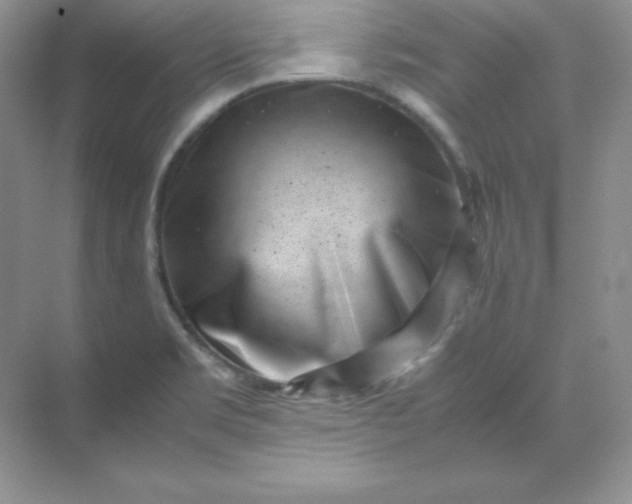 X0000071921469200607212055