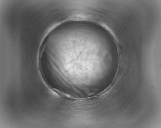 X0000071921477200607212055