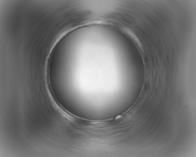 X0000071921483200607212055