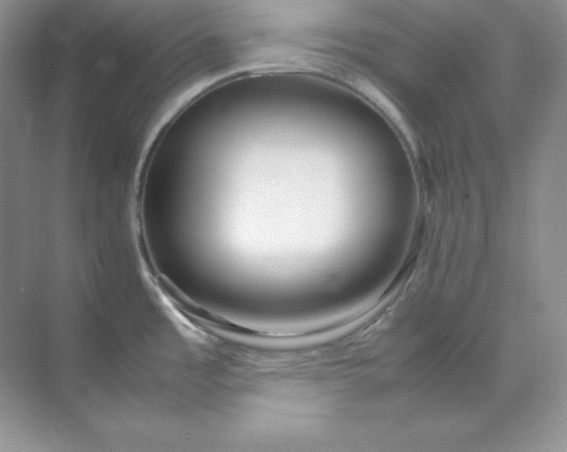 X0000071921485200607212055