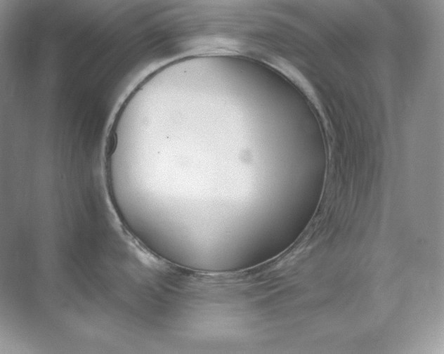X0000071921488200607212055