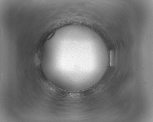 X0000071921491200607212054