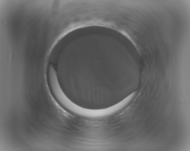 X0000071921508200607212055