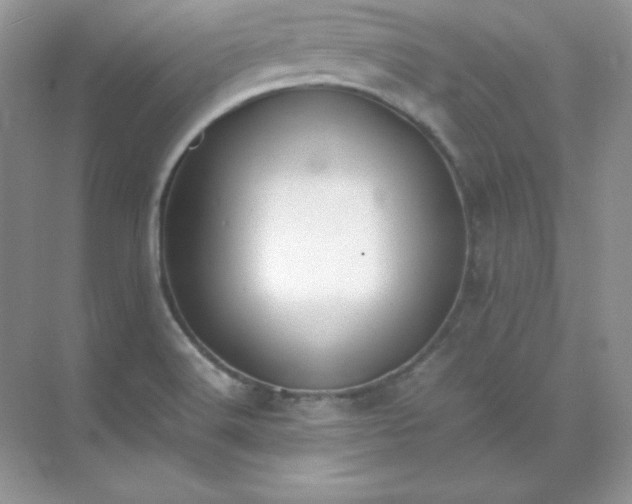 X0000071921516200607212055