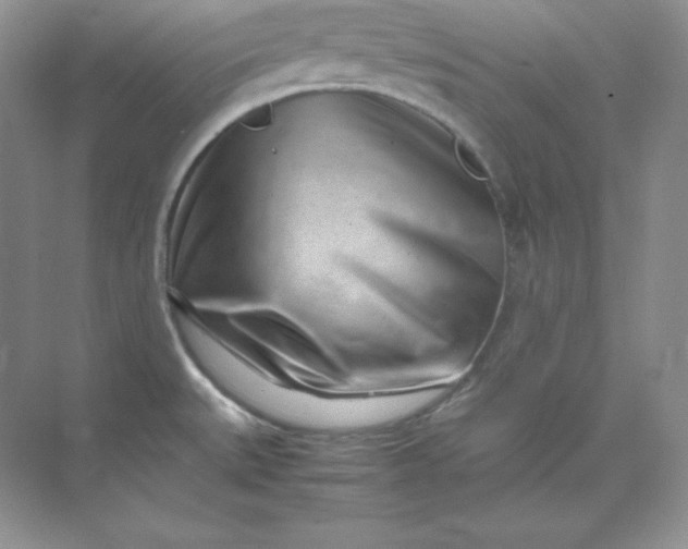 X0000071921527200607212055