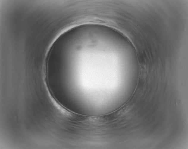X0000071921531200607212055
