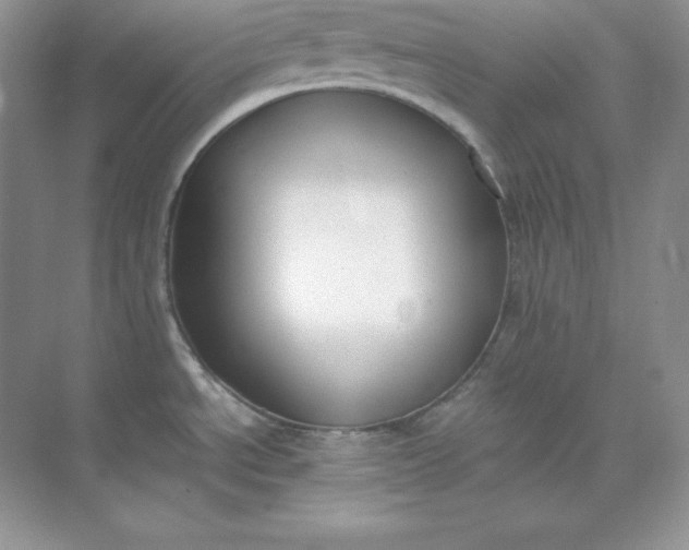 X0000071921534200607212055