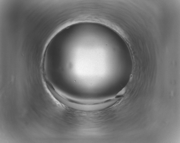 X0000071921536200607212055