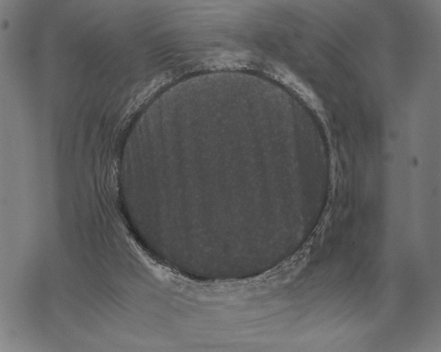 X0000071920009200607281905
