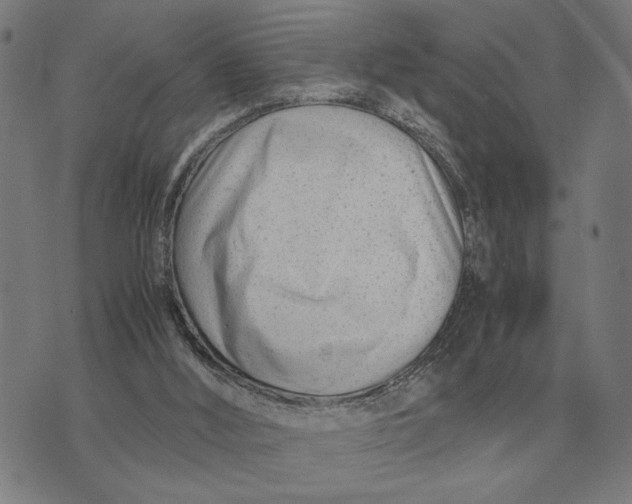 X0000071920012200607281904