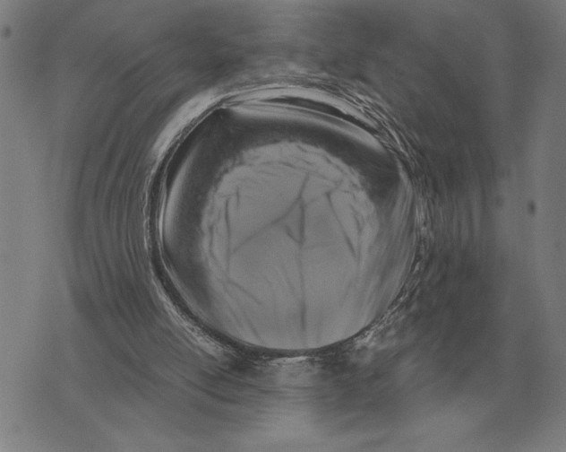X0000071920054200607281903
