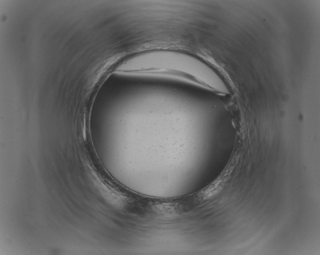 X0000071920062200607281903