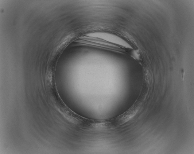X0000071920072200607281903
