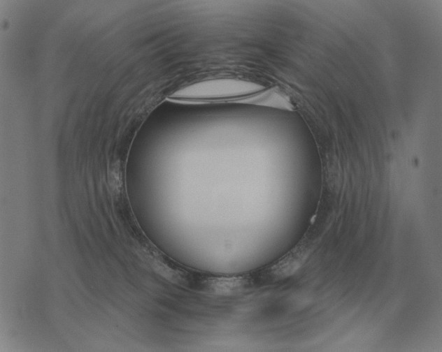 X0000071920085200607281904