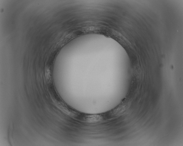 X0000071920087200607281904