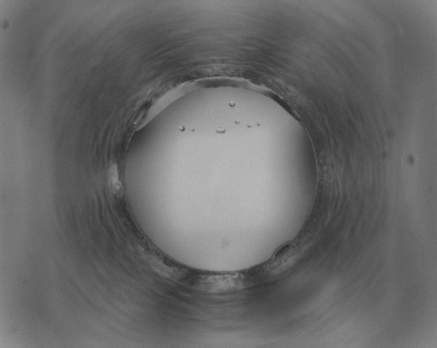 X0000071920089200607281904