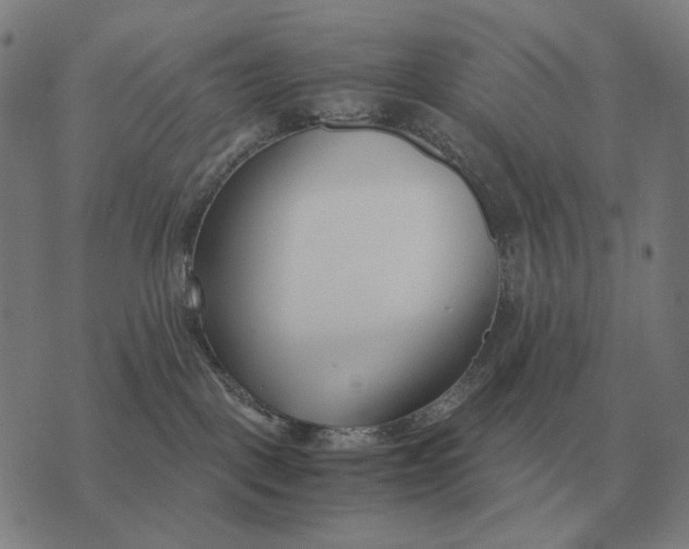 X0000071920093200607281904
