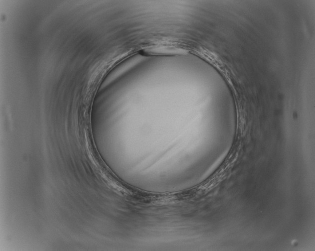 X0000071920097200607281903